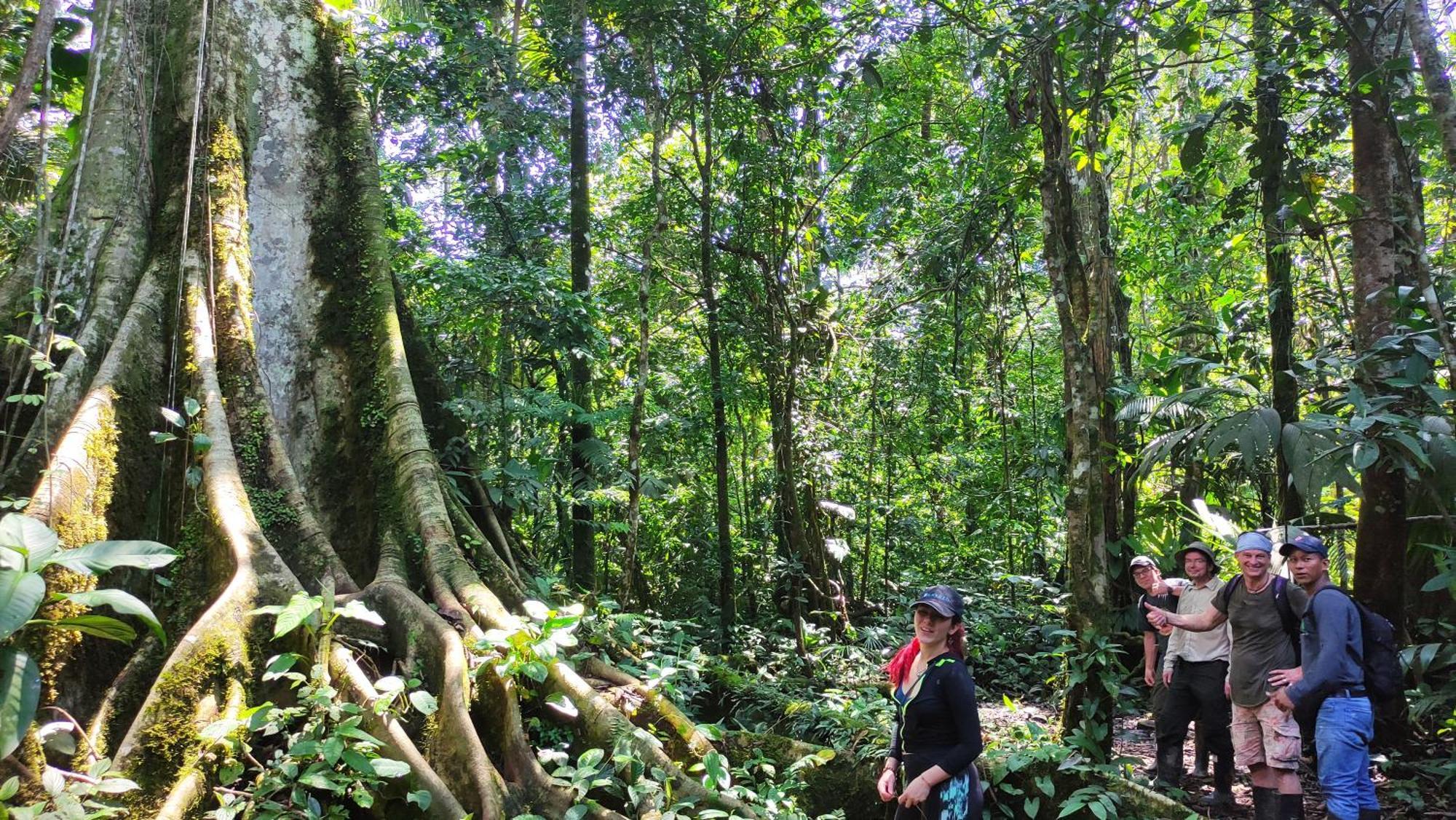 Gaia Amazon Eco Lodge Ahuano Екстер'єр фото
