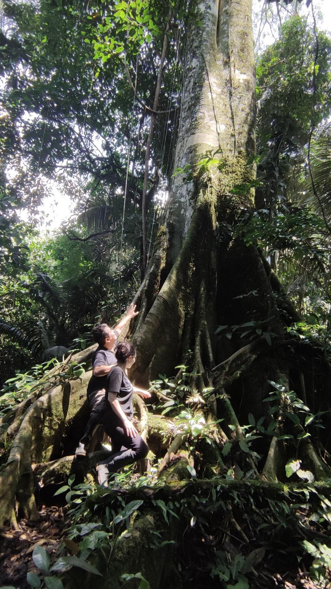 Gaia Amazon Eco Lodge Ahuano Екстер'єр фото
