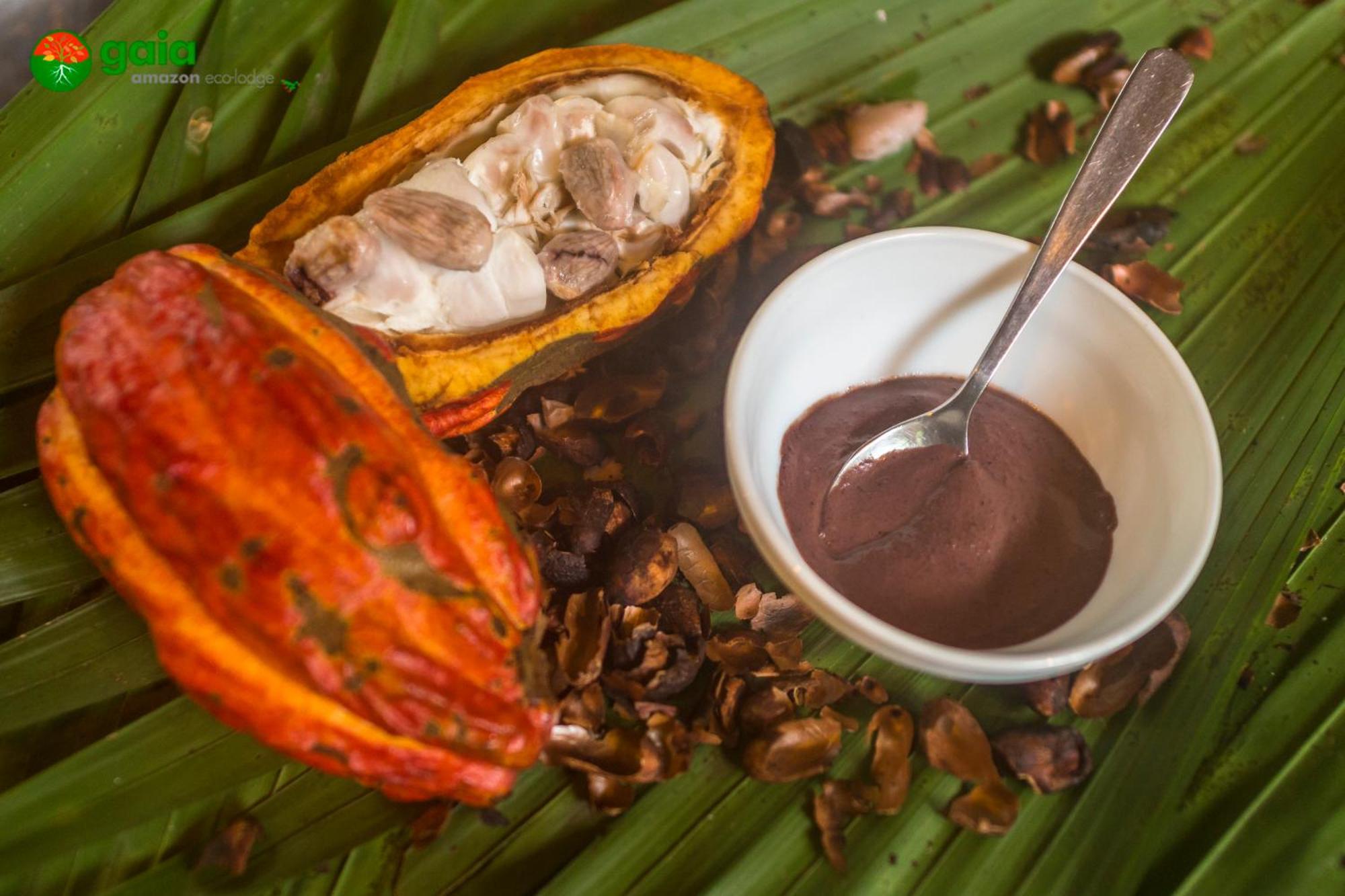Gaia Amazon Eco Lodge Ahuano Екстер'єр фото